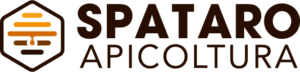 Home logo png
